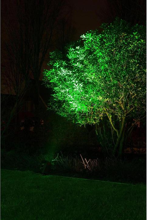Actual product image BeamZ BBP96 Uplight Par (12 W, LED)
