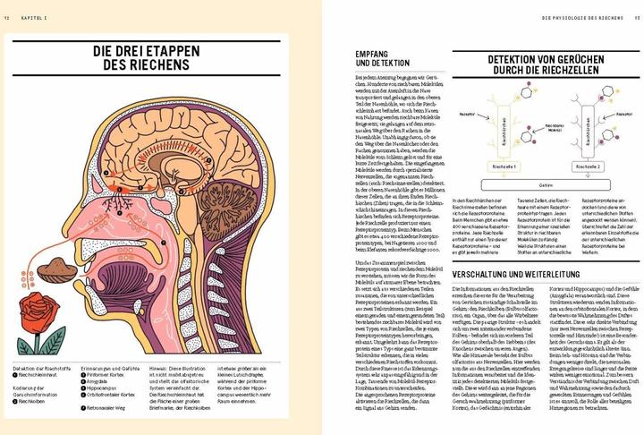 Productafbeelding PARFUM: Alles über die Welt der Düfte (Duits, Collectief Nez, Jeanne Doré, Merk Buxton, Stefanie Hanssen, 2021)