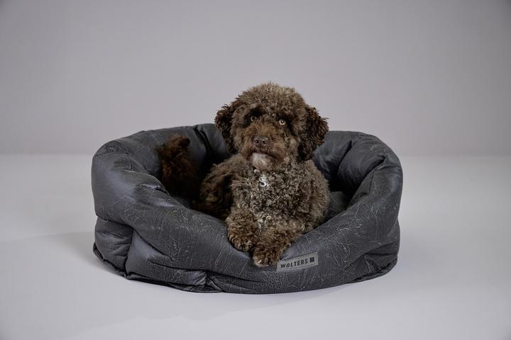 Actual product image Wolters Vintage (Dog)