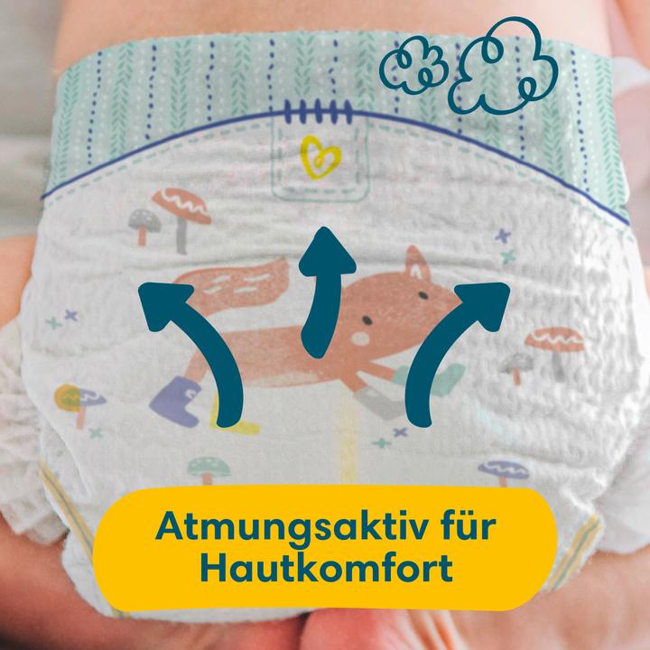 Produktbild Pampers Premium Protection (Gr. 2, Monatsbox, 240 Stück)