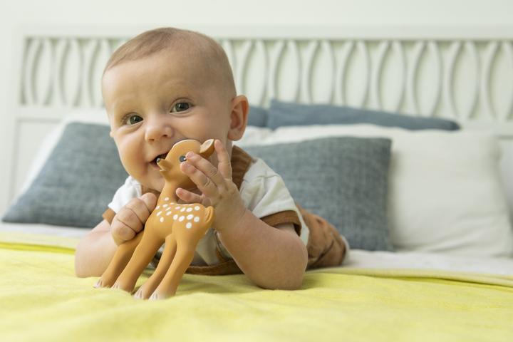 Image du produit Sophie la girafe Fanfan à pinces