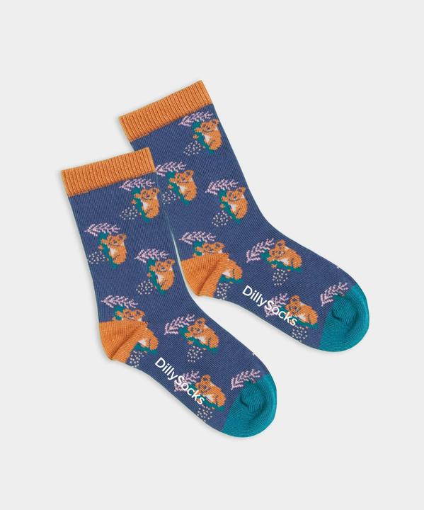 Produktbild DillySocks Lil Comfy Koala (Einzelpack, 15 - 18)