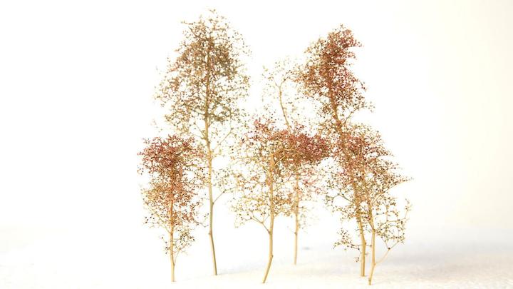 Noch Tree blanks