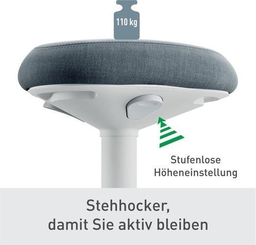 Actual product image Leitz Ergo Active