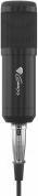 Produktbild Genesis Radium 300 XLR Studio-Mikrofon
