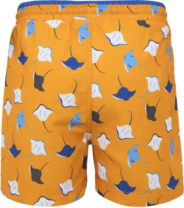 Produktbild Regatta Skander III Badehose Jungen (146, 152)