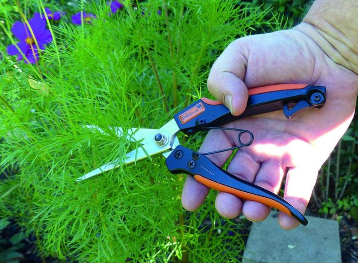 Produktbild Garten Primus Stauden- Kräuterschere