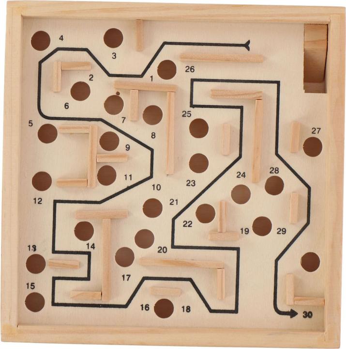 Actual product image Lifetime Brain teaser set 5-in-1, 81pcs (English)
