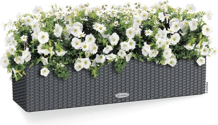 Immagine prodotto Lechuza Balconera Cottage (19 cm)