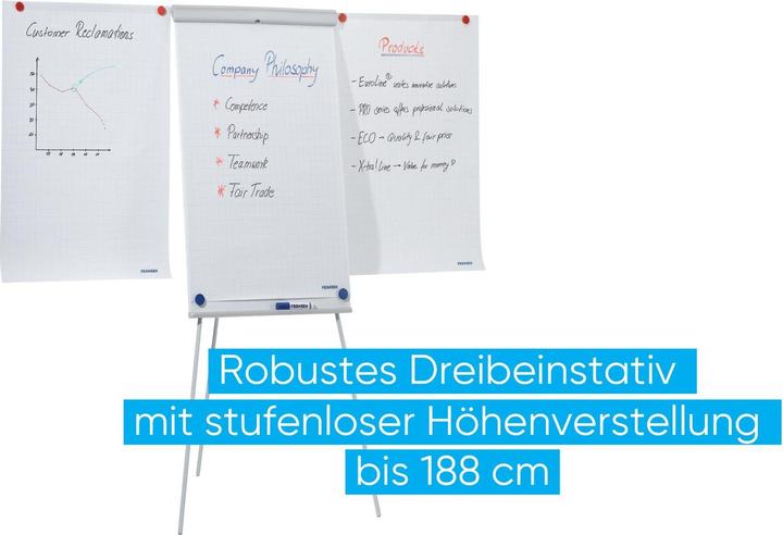 Actual product image Franken Line Standard Plus (70 x 110 cm)