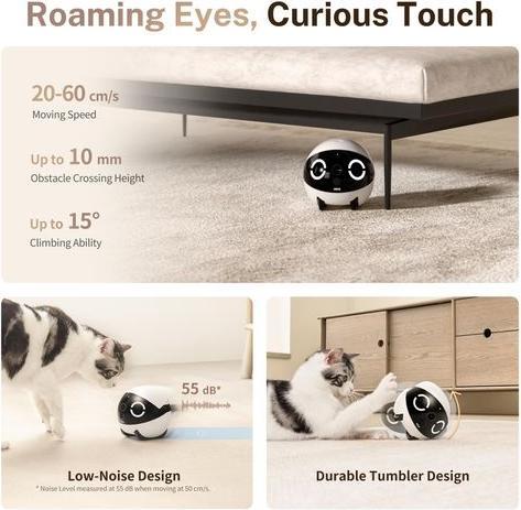 Produktbild Enabot Rola Mini Companion Robot (2304 x 1296 Pixels)