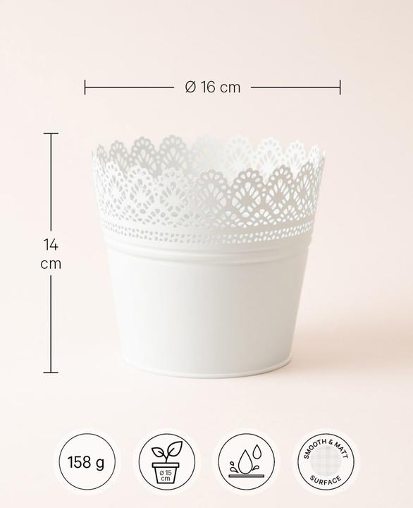 Image du produit Esmée Pot de fleurs, cache-pot avec pointes, tôle (16 cm)