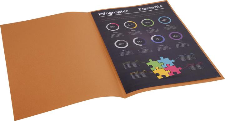 Produktbild Exacompta Sammelmappen - Aktendeckel (A4, 100 x)