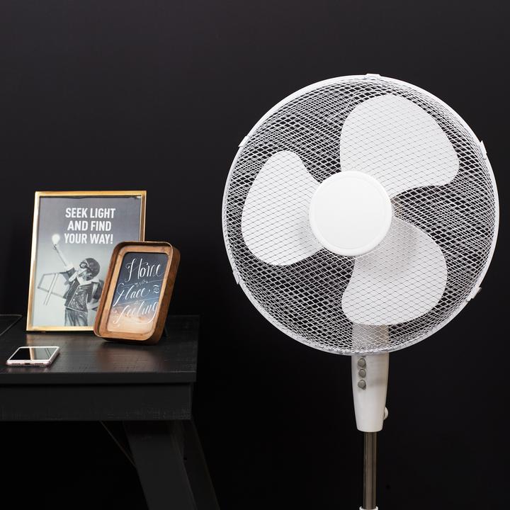 Actual product image Tristar Ve-5893 (56.60 dB)