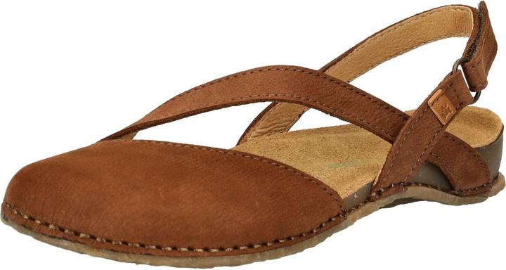 El Naturalista Sandalen (41)