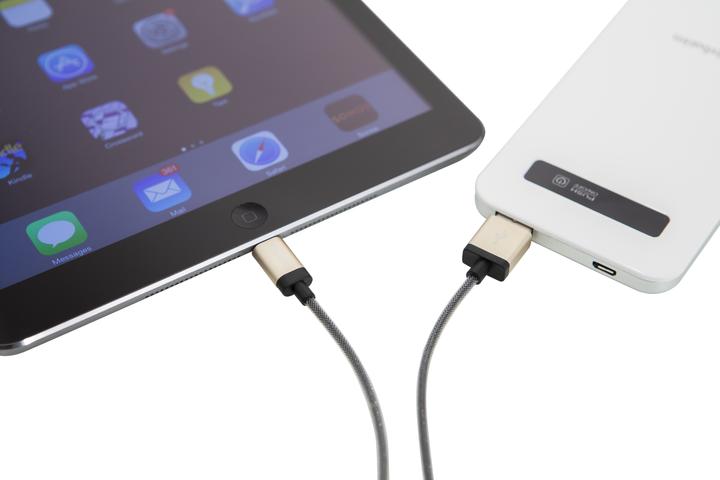 Immagine prodotto Verbatim Cavo Lightning - Champagne Gold - (0.30 m, USB 2.0)