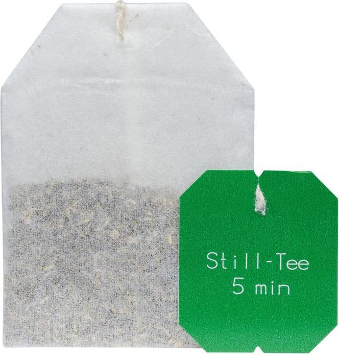 Actual product image Salus Breastfeeding Tea Organic Teas (65 g)