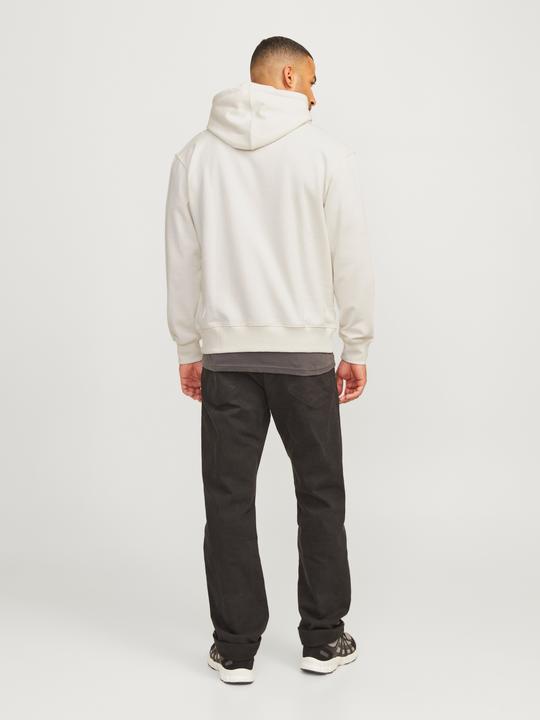 Image du produit Jack & Jones Rddbenjamin Hood Sweat L/S Noos (XXL)
