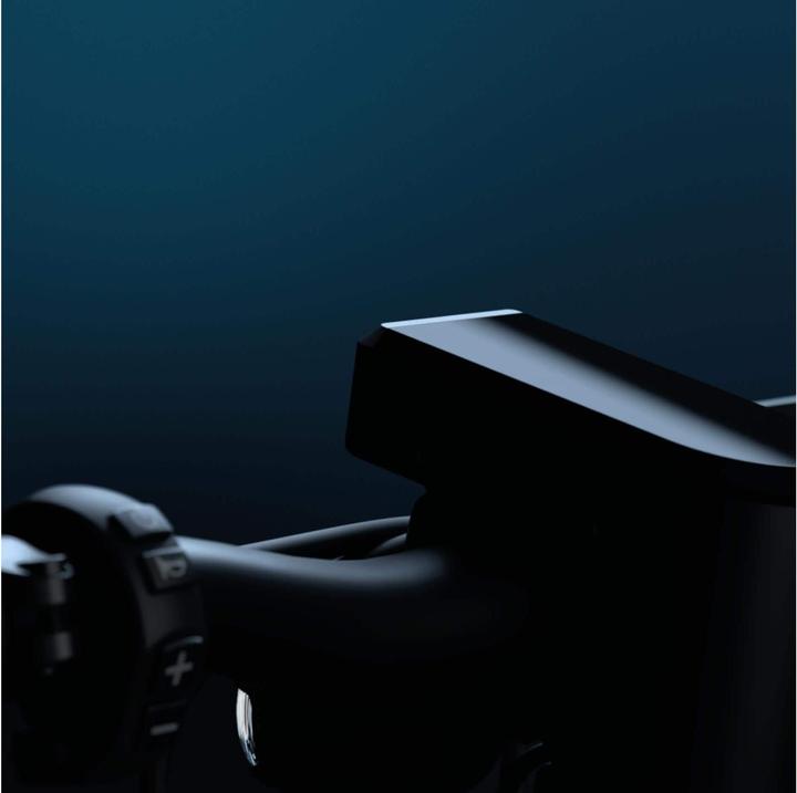 Actual product image Egret Pro (20 km/h, 80 km, 500 W)