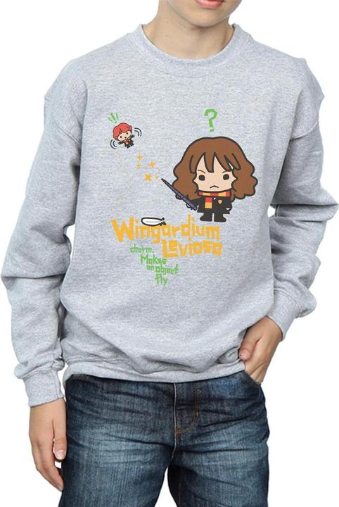 Produktbild Wingardium Leviosa Sweatshirt Jungen (152, 158)