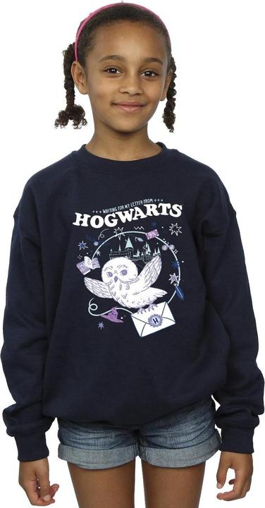 Image du produit - Sweat OWL LETTER FROM HOGWARTS - Fille (140, 146)