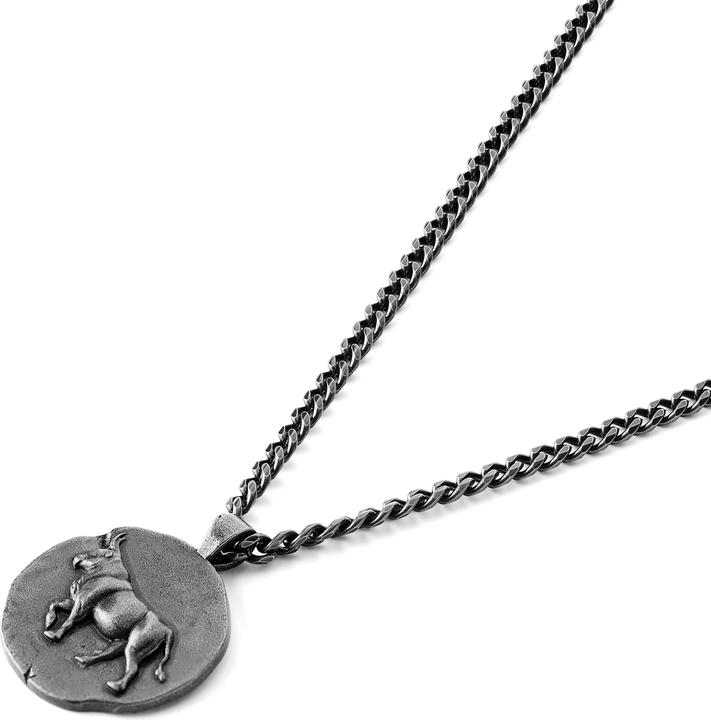 Actual product image Lucleon Astro (Stainless steel)