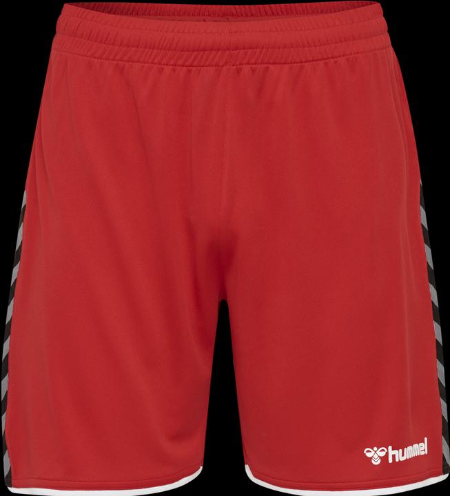 Actual product image hummel Authentic Poly Shorts (S)