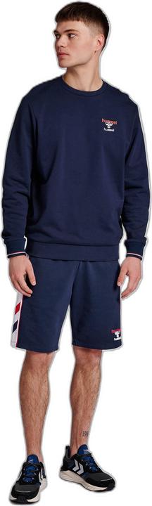 Actual product image hummel Ic Dayton Sweatshirt (L)