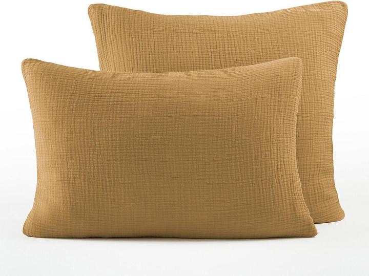 Couleur bronze