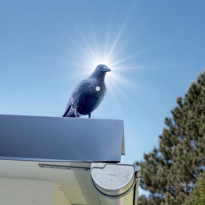 Image du produit Gardigo Corbeau
