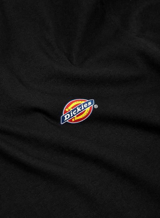 Actual product image Dickies Mapleton T-Shirt (S)