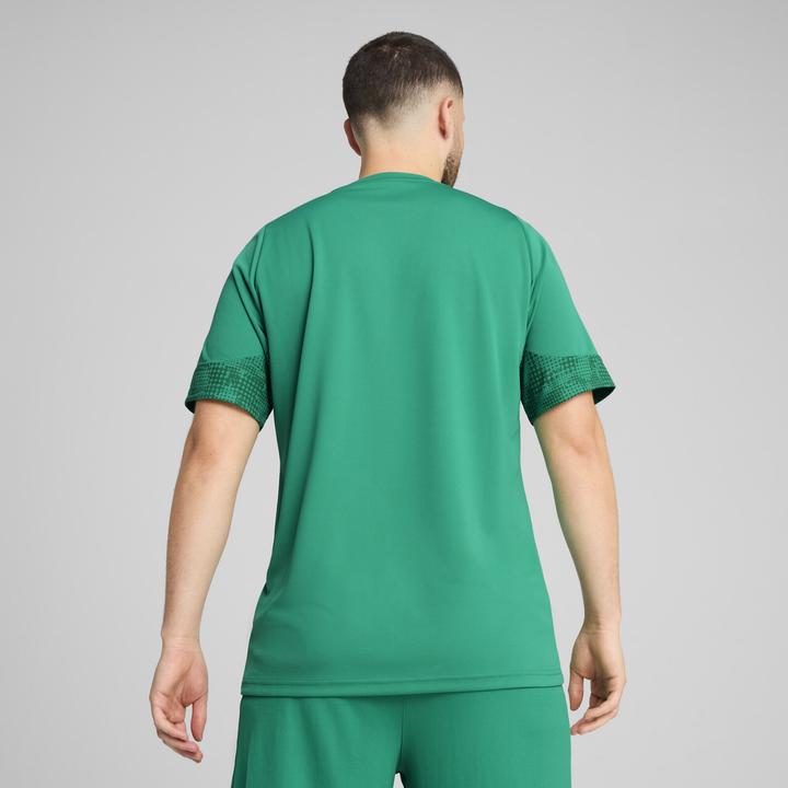 Actual product image Puma teamCUP Training Jersey (L)