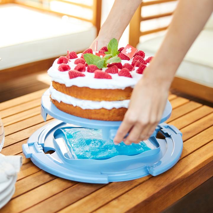 Immagine prodotto Rotho Torta campana Cool & Fresh blu