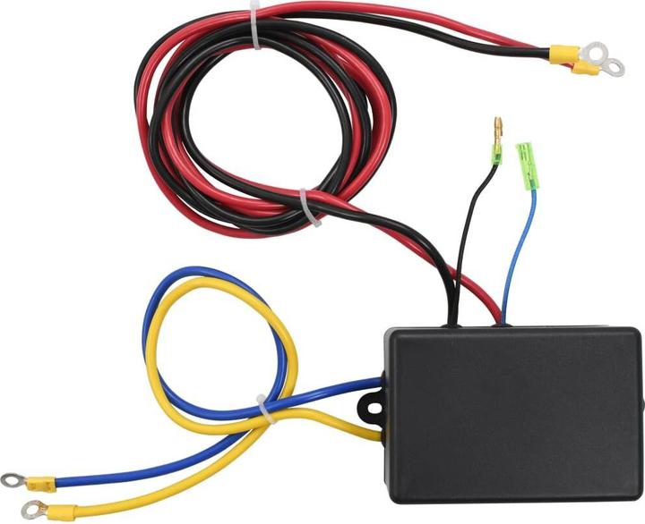 Actual product image VidaXL Electric winch