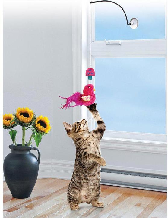 Immagine prodotto KONG Teaser della finestra (Catmint giocattolo)