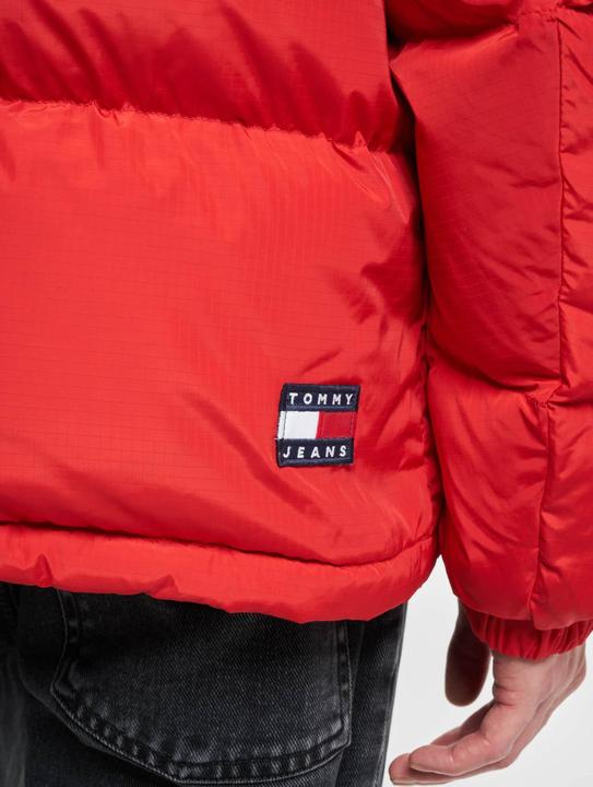 Actual product image Tommy Jeans Alaska (L)
