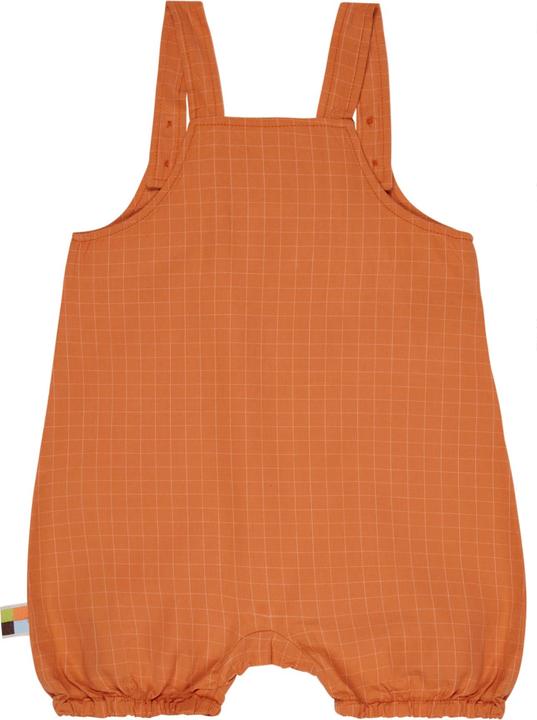 Carota