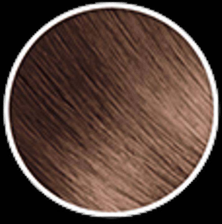Produktbild Garnier Olia (12905 Schokolade)