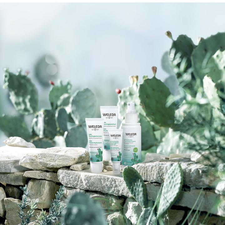 Immagine prodotto Weleda Gel occhi idratante rinfrescante al fico d'India (Gel, 10 ml, Giorno)