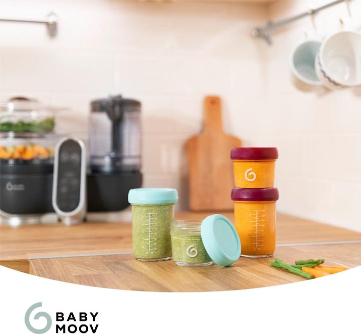 Actual product image Babymoov Babybols + recipe book