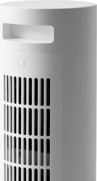Image du produit Xiaomi Mi BHR6101EU (2000 W)