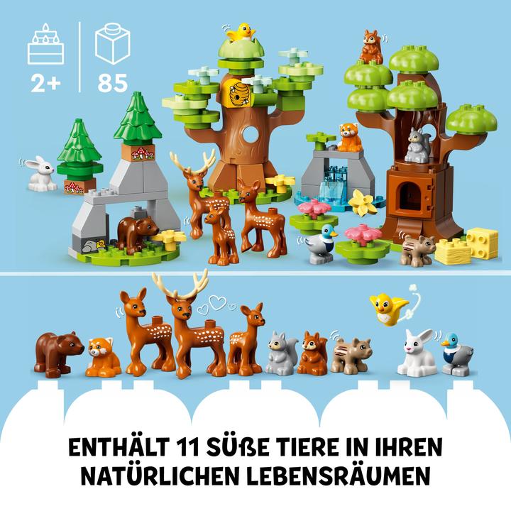 Actual product image LEGO Wild Animals of Europe (10979)