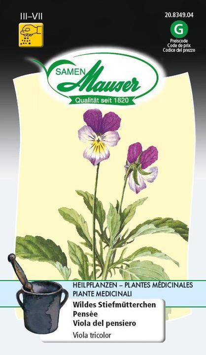 Immagine prodotto Samen Mauser Viola del pensiero selvatica (Semi di piante)