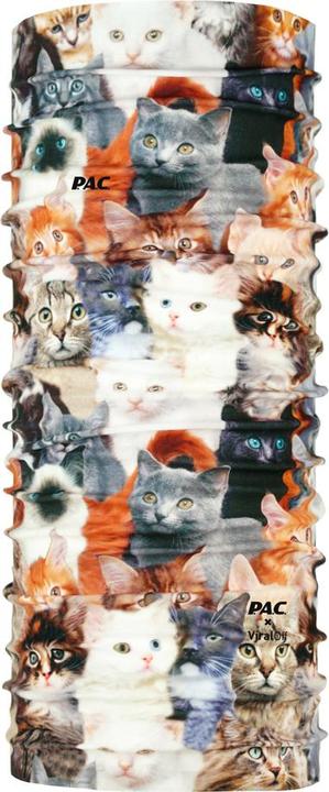 Miau