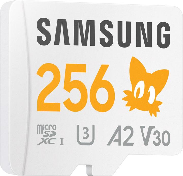 Actual product image Samsung MB-MD256S (256 GB, microSDXC, U3, UHS-I)