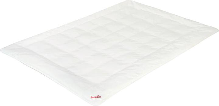 Paradies Antiallergo all-season duvet for children and teenagers (135 cm x 200 cm) (680 g, 135 x 200 cm)