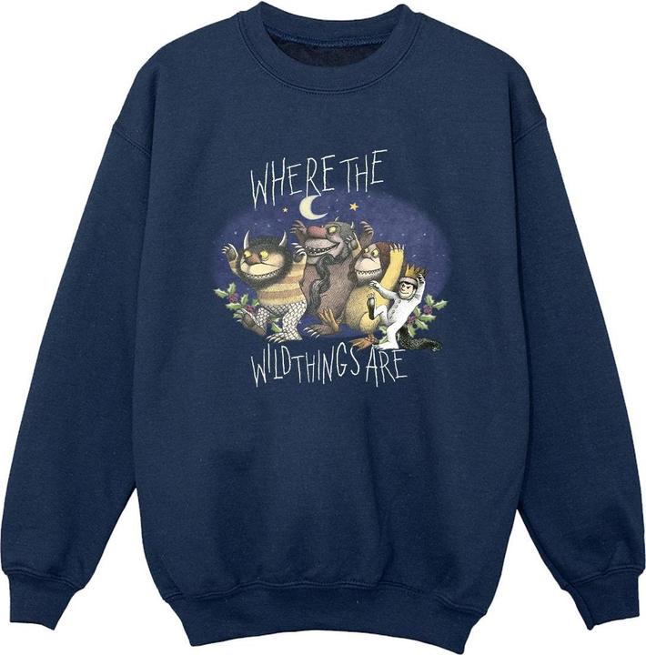 Produktbild Where The Wild Things Are Sweatshirt Jungen (116)