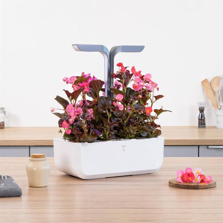 Actual product image Véritable Connect Indoor Garden (18 cm)