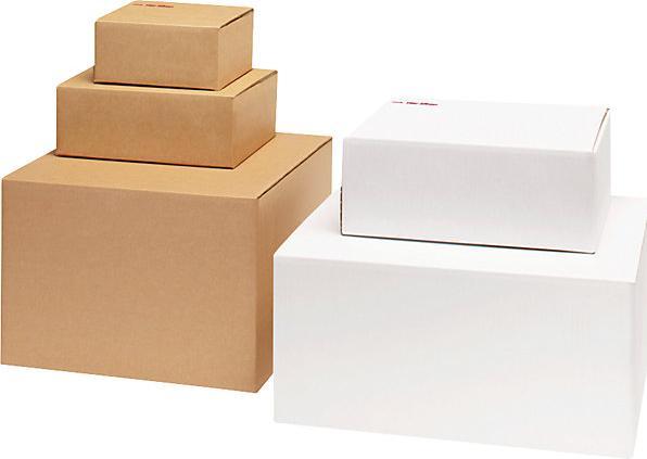 Actual product image Ratioform Speedbox cardboard box, single fluted, LxWxH 260 x 200 x 160 mm, B5, brown, 20+ (B5, 1 x)