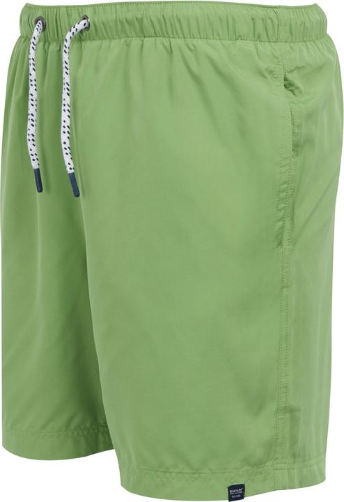 Actual product image Regatta Mens Mackleyna Swim Shorts (3XL)